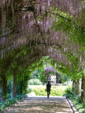 20151013_121757_HDR~2