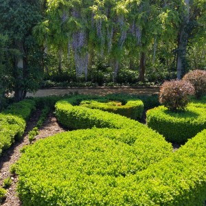 20151013_130312_HDR (2)