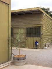 20151022_131732_HDR (2)