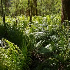 20151027_105955_HDR (2)