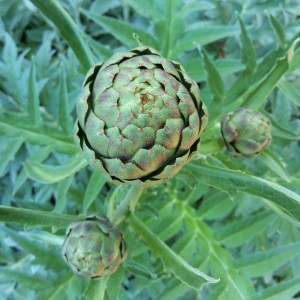 20151029_102542_HDR (2)