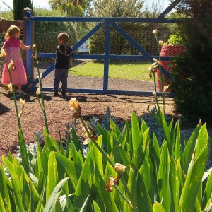 20151029_103858_HDR (2)