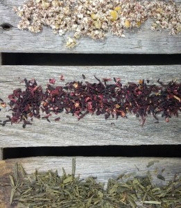 20151109_121959_HDR (2)