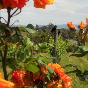 20151111_125901_HDR (2)