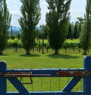 20151111_125943_HDR (2)