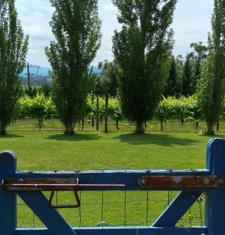 20151111_125943_HDR (2)