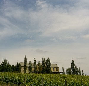 20151111_135803_HDR (2)