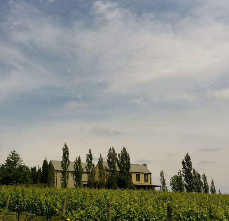 20151111_135803_HDR (2)