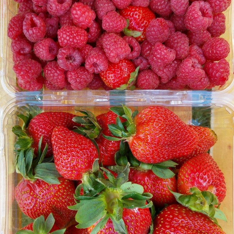 20151202_122301_HDR (2)