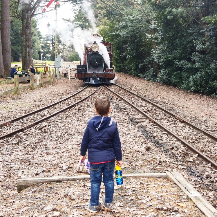 IMG_20160807_152345[1]