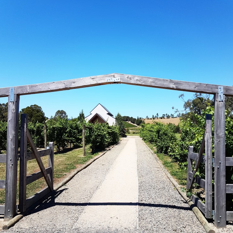 img_20170201_063233_730