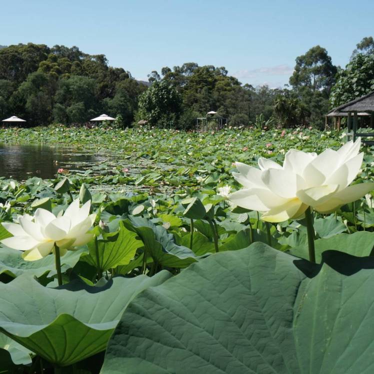 img_20170208_070848_567