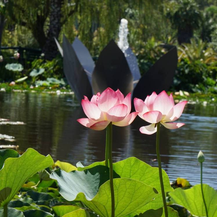 img_20170209_071520_323