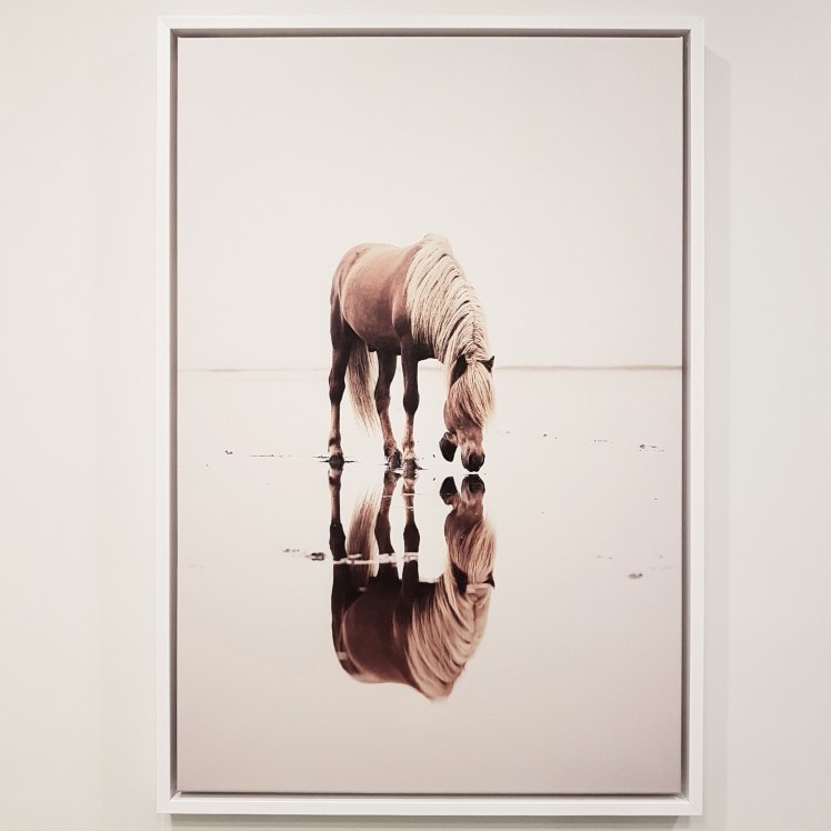 IMG_20170312_112052_587