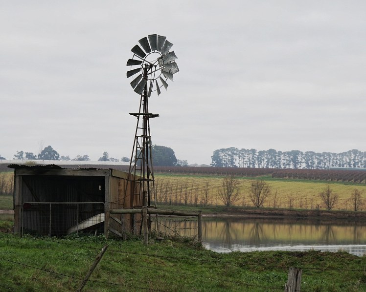 IMG_20170613_211010_061