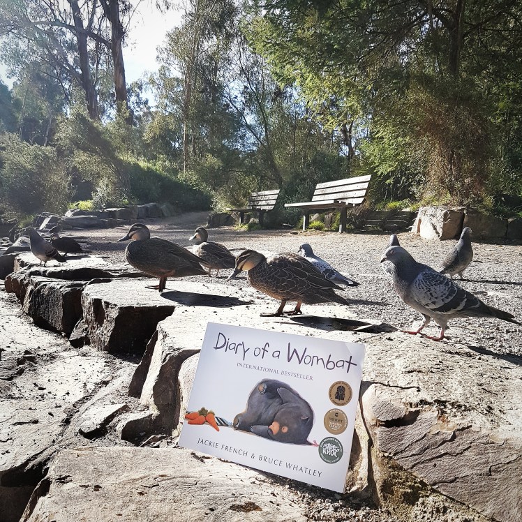 IMG_20170623_141431_304