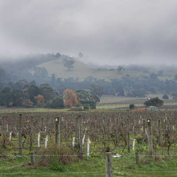 IMG_20170627_140742_900