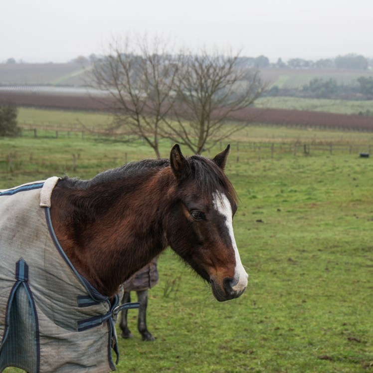 IMG_20170627_213250_459