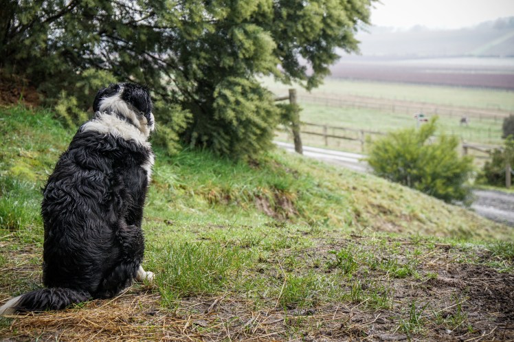 IMG_20170629_212718_169