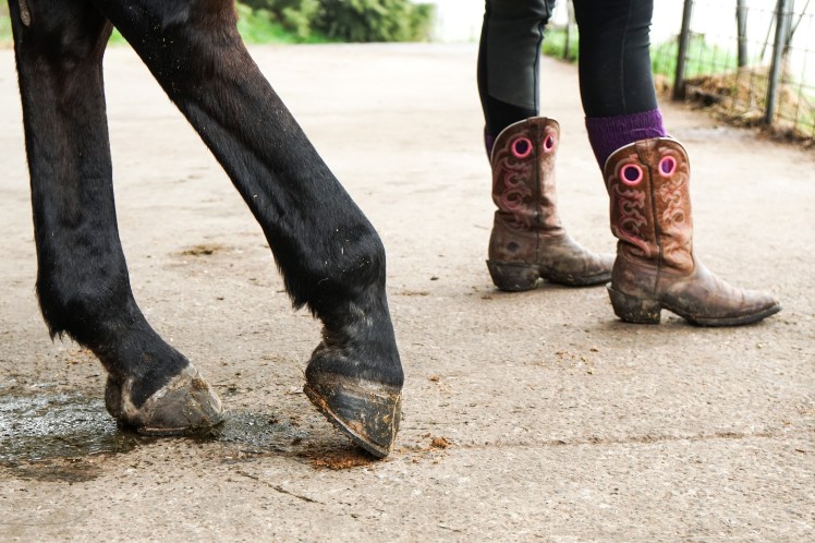 IMG_20170630_194154_298