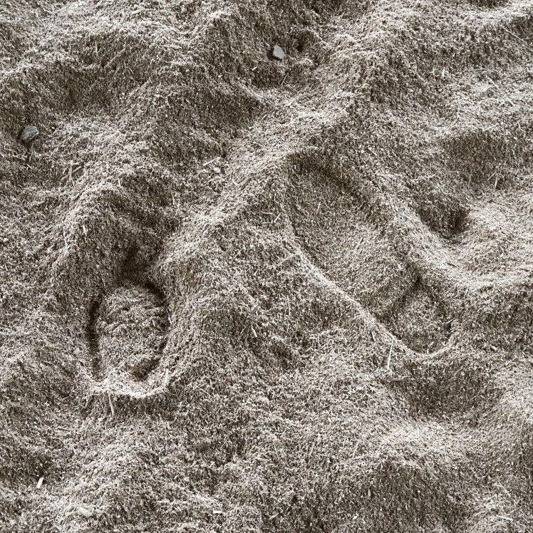 man and beast (1 of 1)