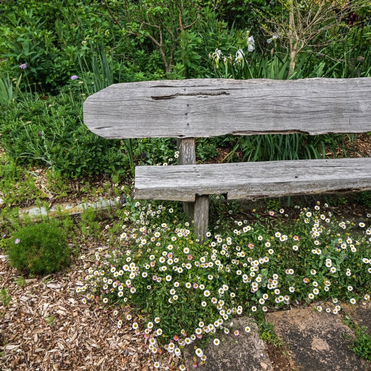 Best Seat in the House (1 of 1)