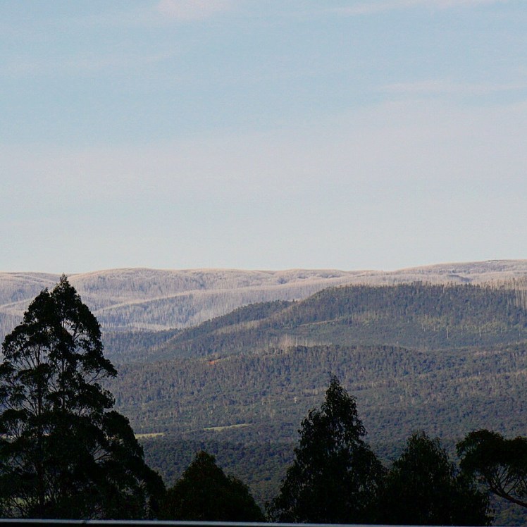 IMG_20170929_134046_996