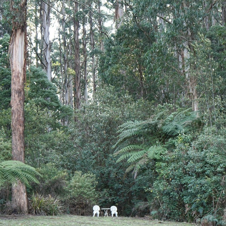 IMG_20170930_094742_275