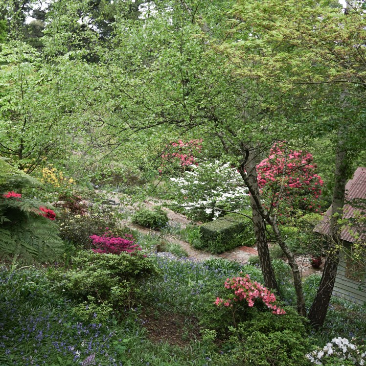 Woodland mix (1 of 1)